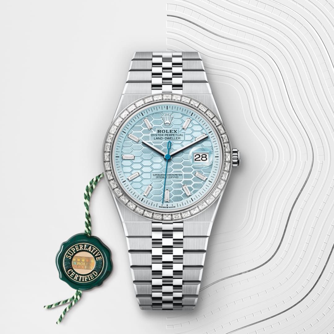 rolex wish tudor watch